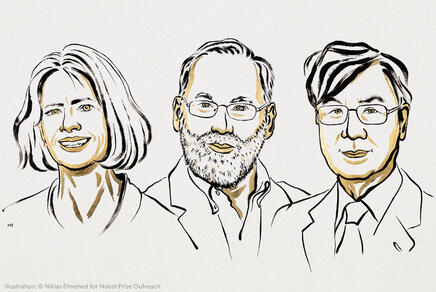Illustrationen von Mary E. Brunkow, Fred Ramsdell, Shimon Sakaguchi - die Medizinnobelpreisträger:innen 2025