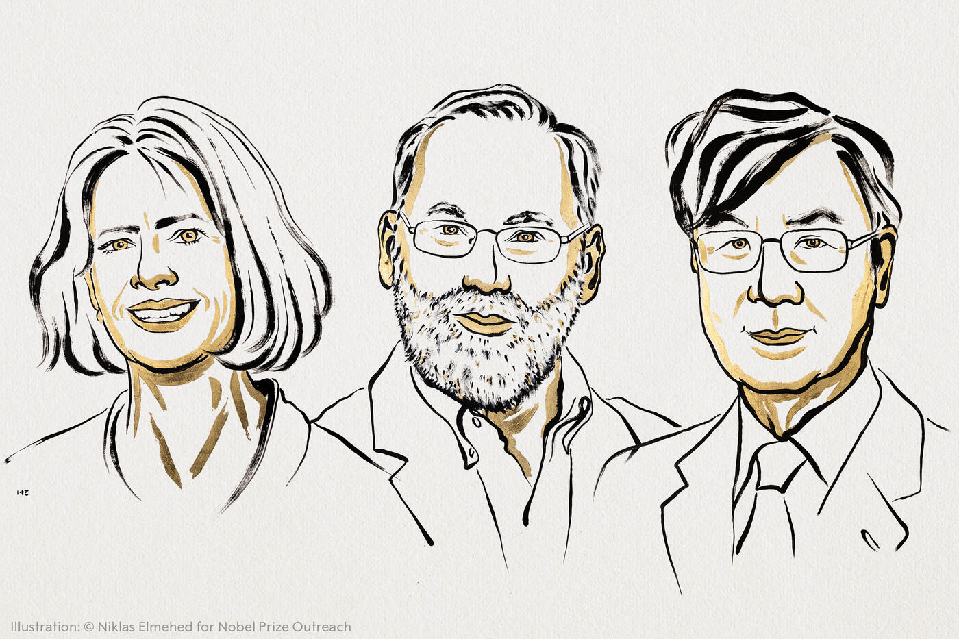 Illustrationen von Mary E. Brunkow, Fred Ramsdell, Shimon Sakaguchi - die Medizinnobelpreisträger:innen 2025