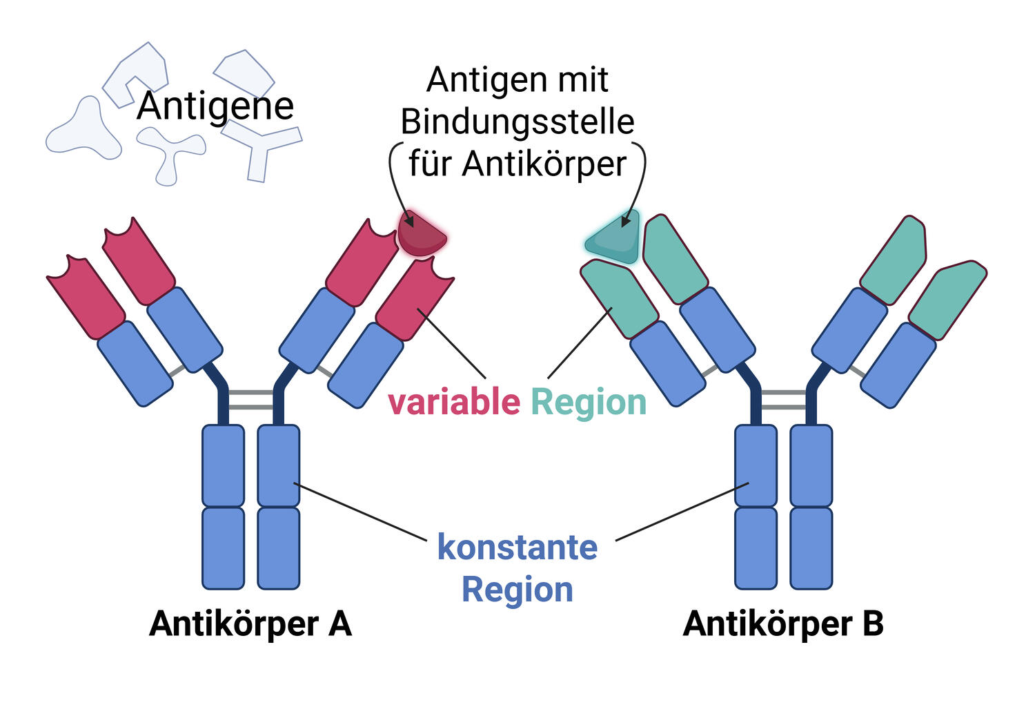 Antik rper Quiz F r Profis Open Science
