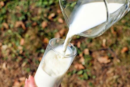 Aus einem Glaskrug wird Milch in ein Glas geschenkt.