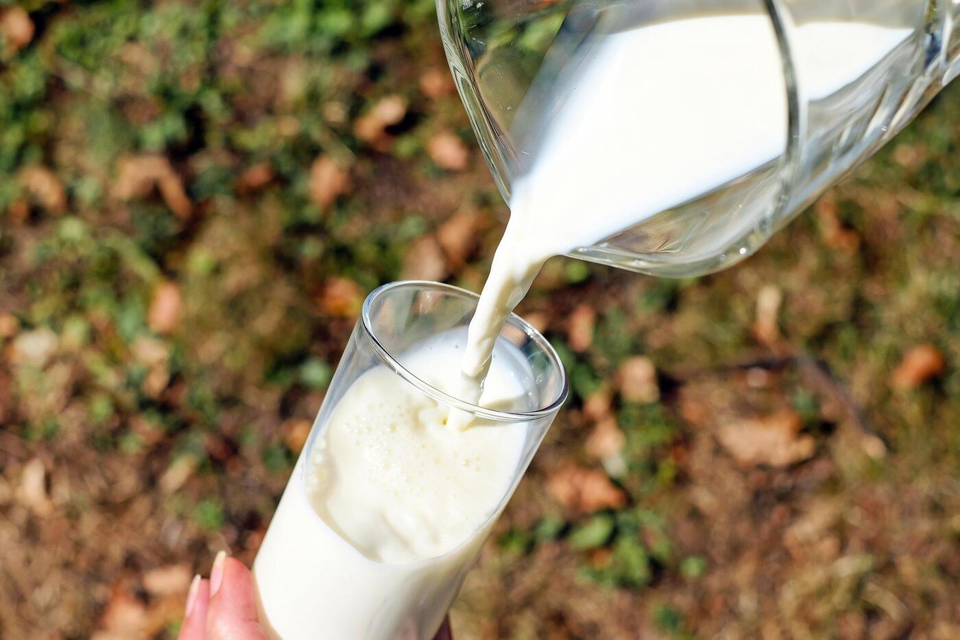 Aus einem Glaskrug wird Milch in ein Glas geschenkt.