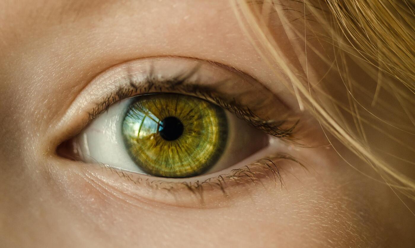Braun-grünes Auge